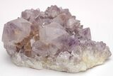 Cactus Quartz (Amethyst) Crystal Cluster - Huge Crystals! #206120-3